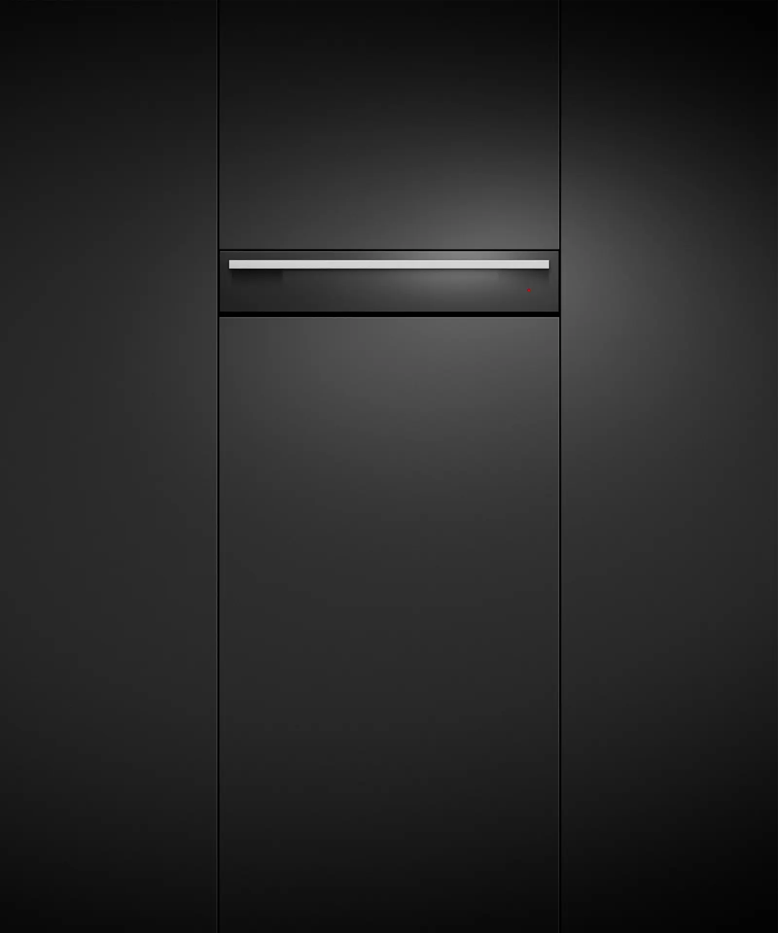 Fisher Paykel WB24SDEB2 Black