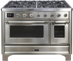 Natural Gas In Stainless Steel W/ Chrome Trim