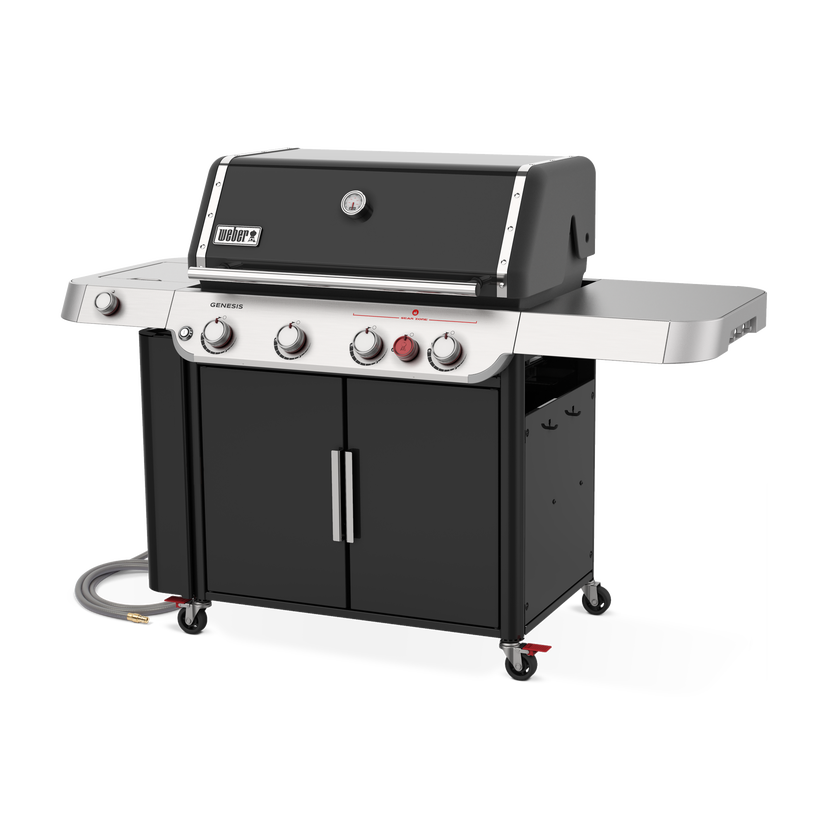 Weber 38410001