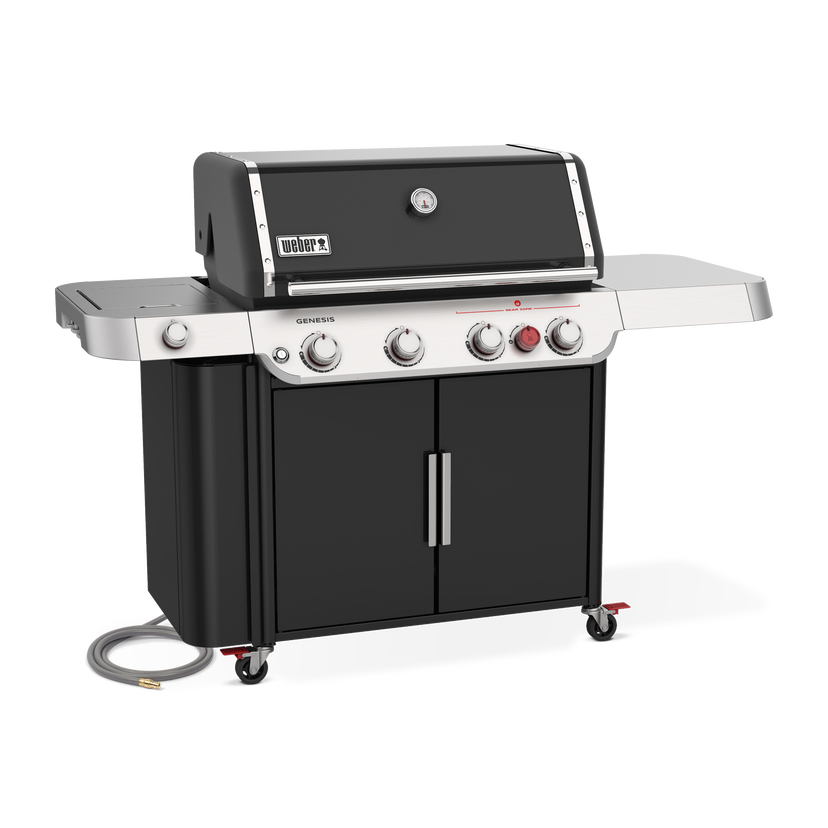 Weber 38410001