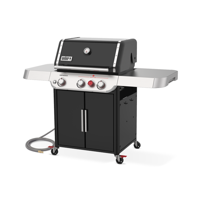 Weber 37310001