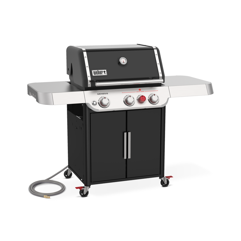 Weber 37310001