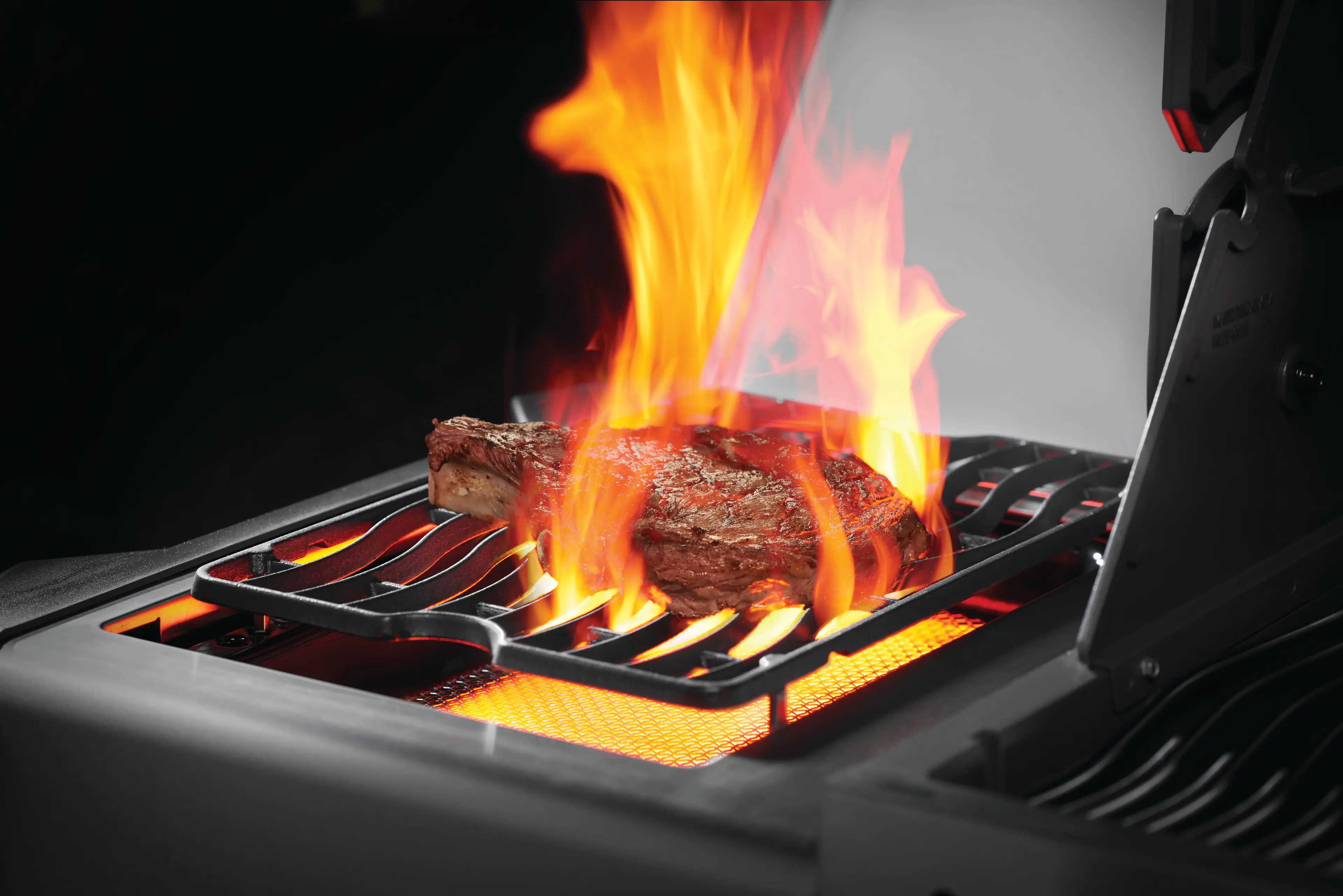 Napoleon P500RSIBPSS3 Stainless Steel with Liquid Propane