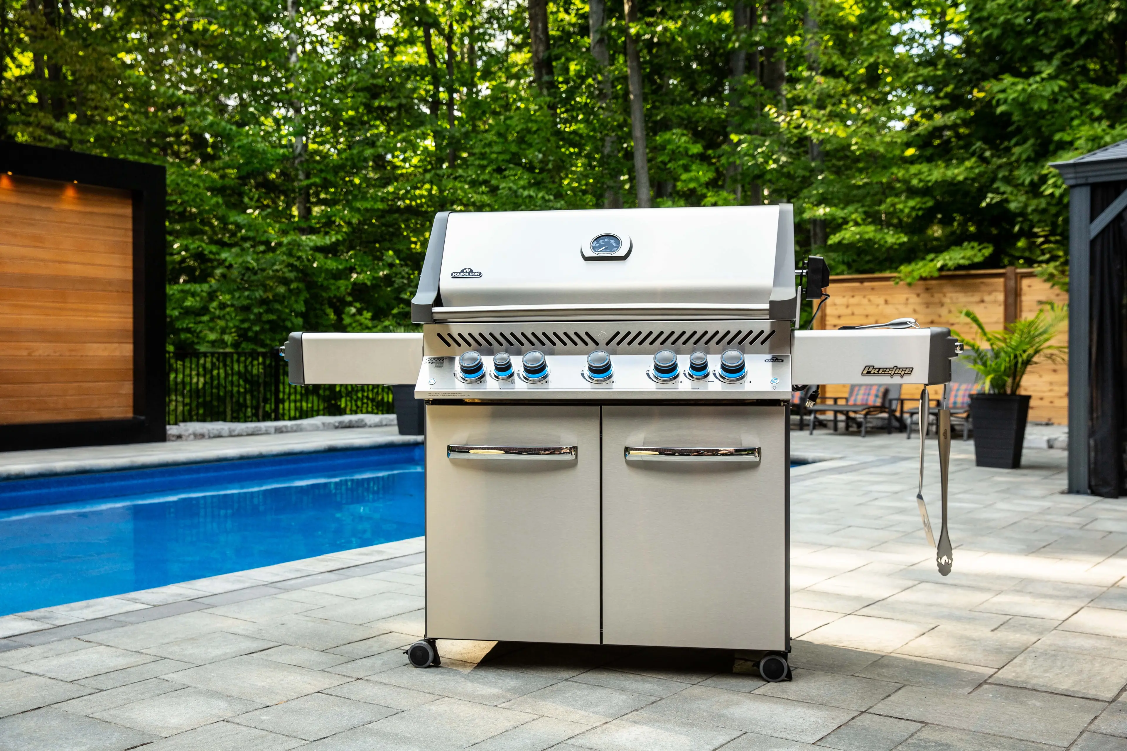 Napoleon P665RSIBPSS Stainless Steel with Liquid Propane