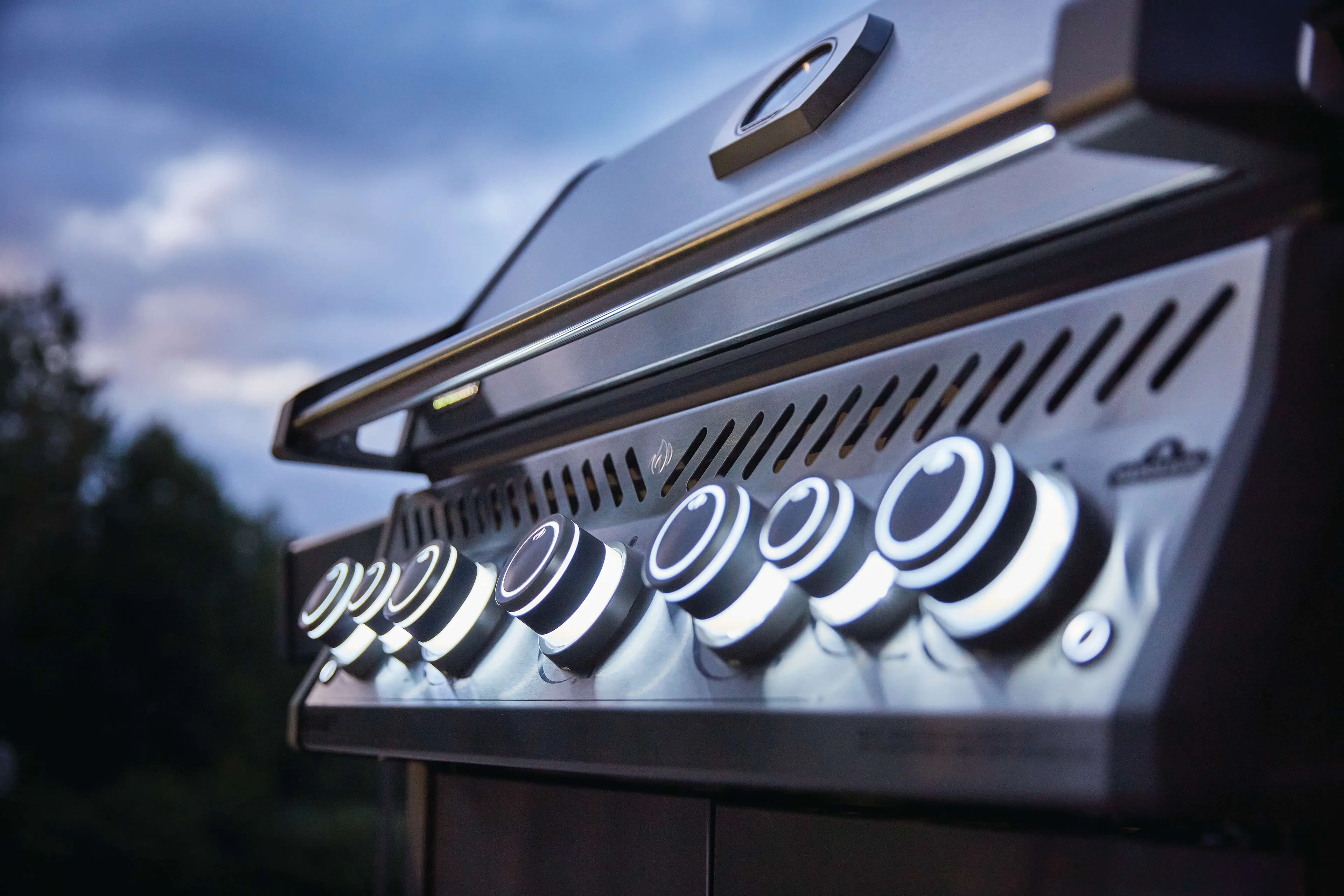 Napoleon RSE625RSIBNSS1 Stainless Steel, Natural Gas