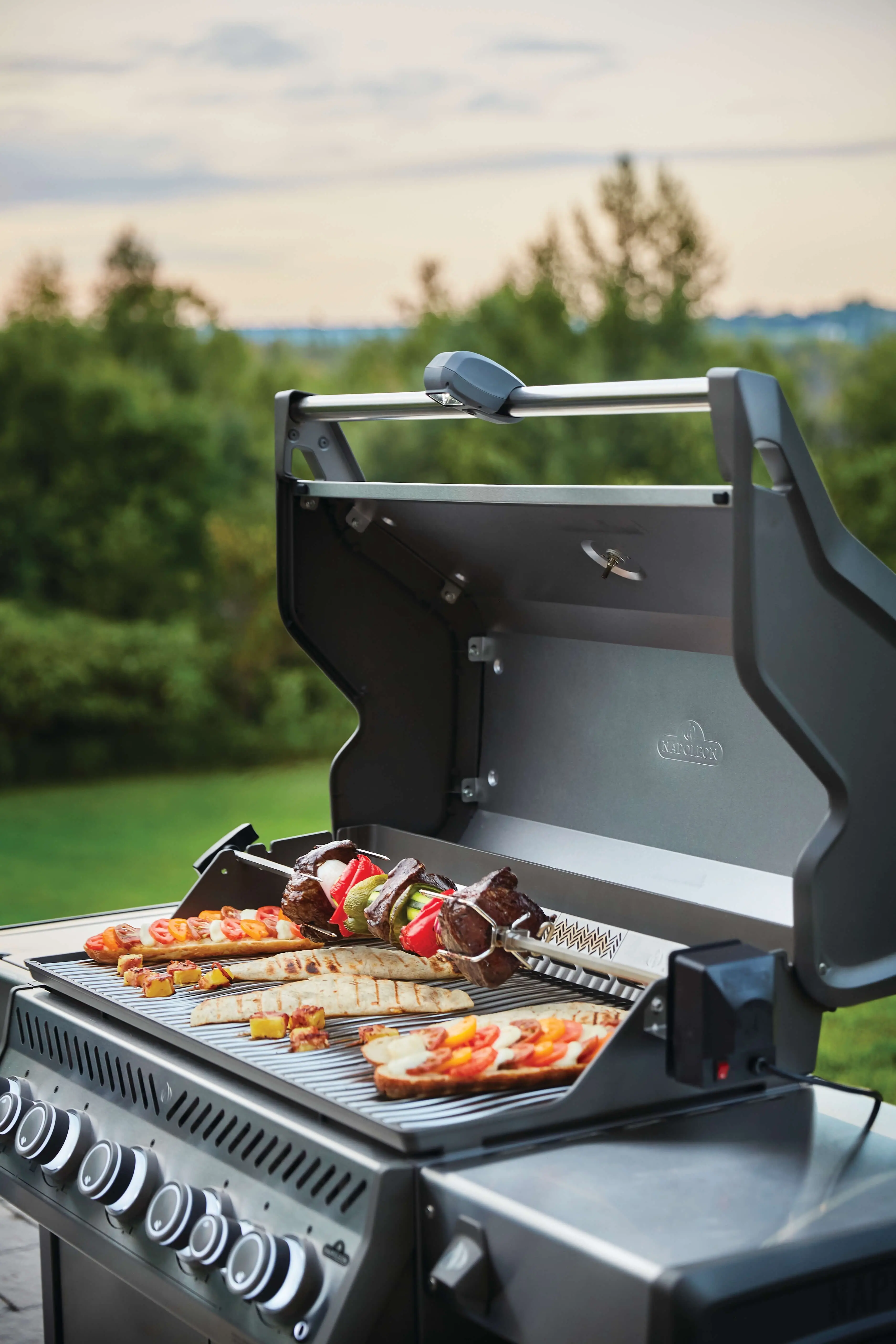 Napoleon RSE625RSIBPSS1 Stainless Steel, Liquid Propane