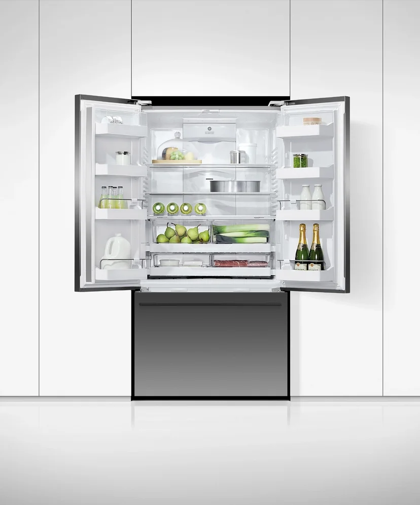 Fisher Paykel RF201ADUSB5
