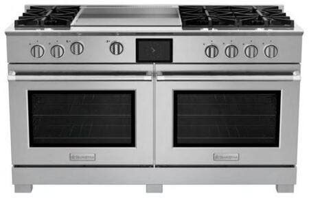 Bluestar BSDF606GPLT