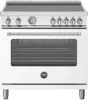 Master Series 36 Inch Induction Range Manual Clean