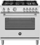 Master Series 36 Inch Range Dual Fuel Manual Clean