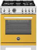 Professional Series 30 Inch Range All Gas