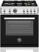 Professional Series 30 Inch Range All Gas