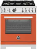 Professional Series 30 Inch Range Dual Fuel Self Clean