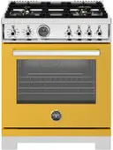 Professional Series 30 Inch Range Dual Fuel Self Clean