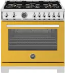 Professional Series 36 Inch Range All Gas