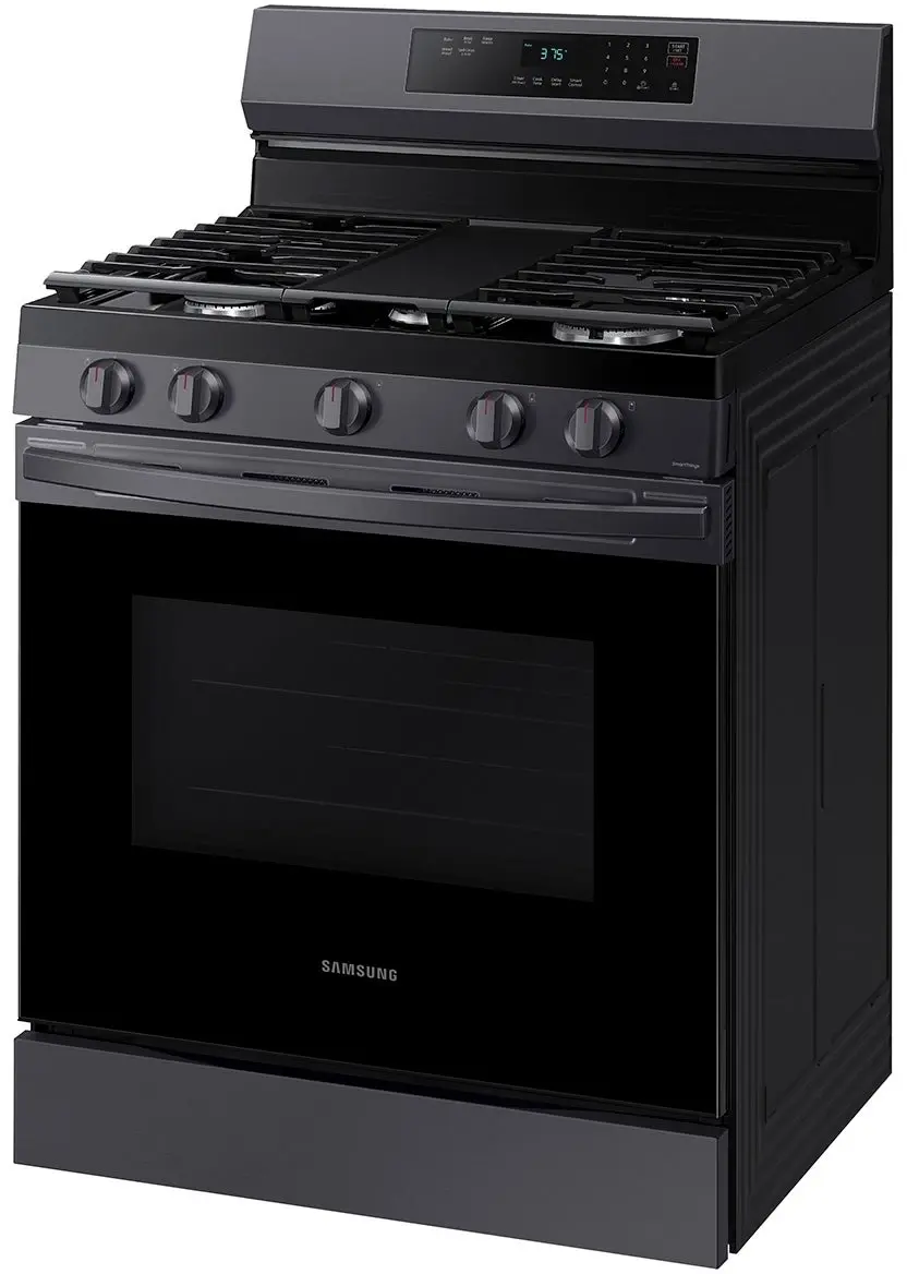 Samsung NX60A6311SG Black Stainless