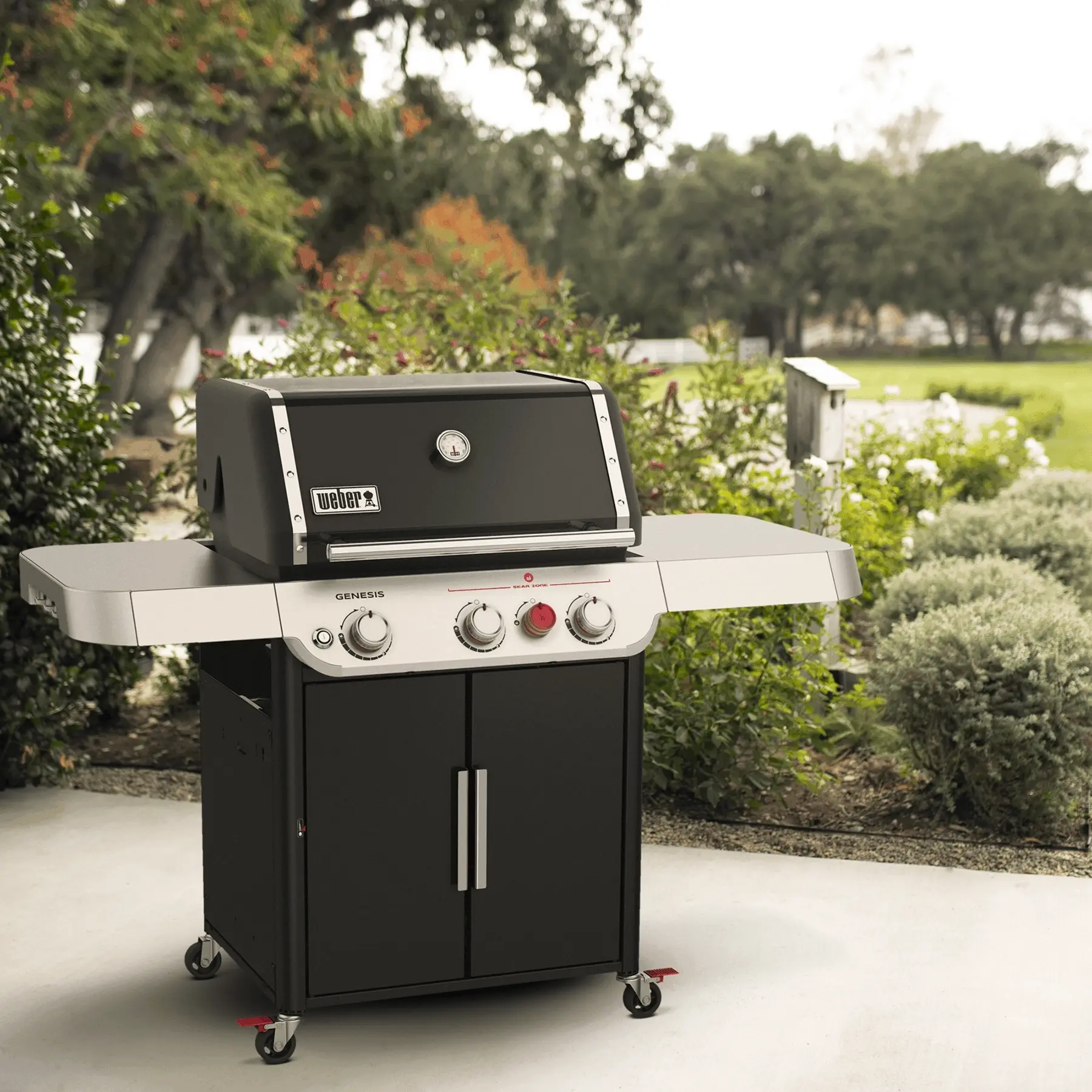 Weber 35310001 Liquid Propane, Black