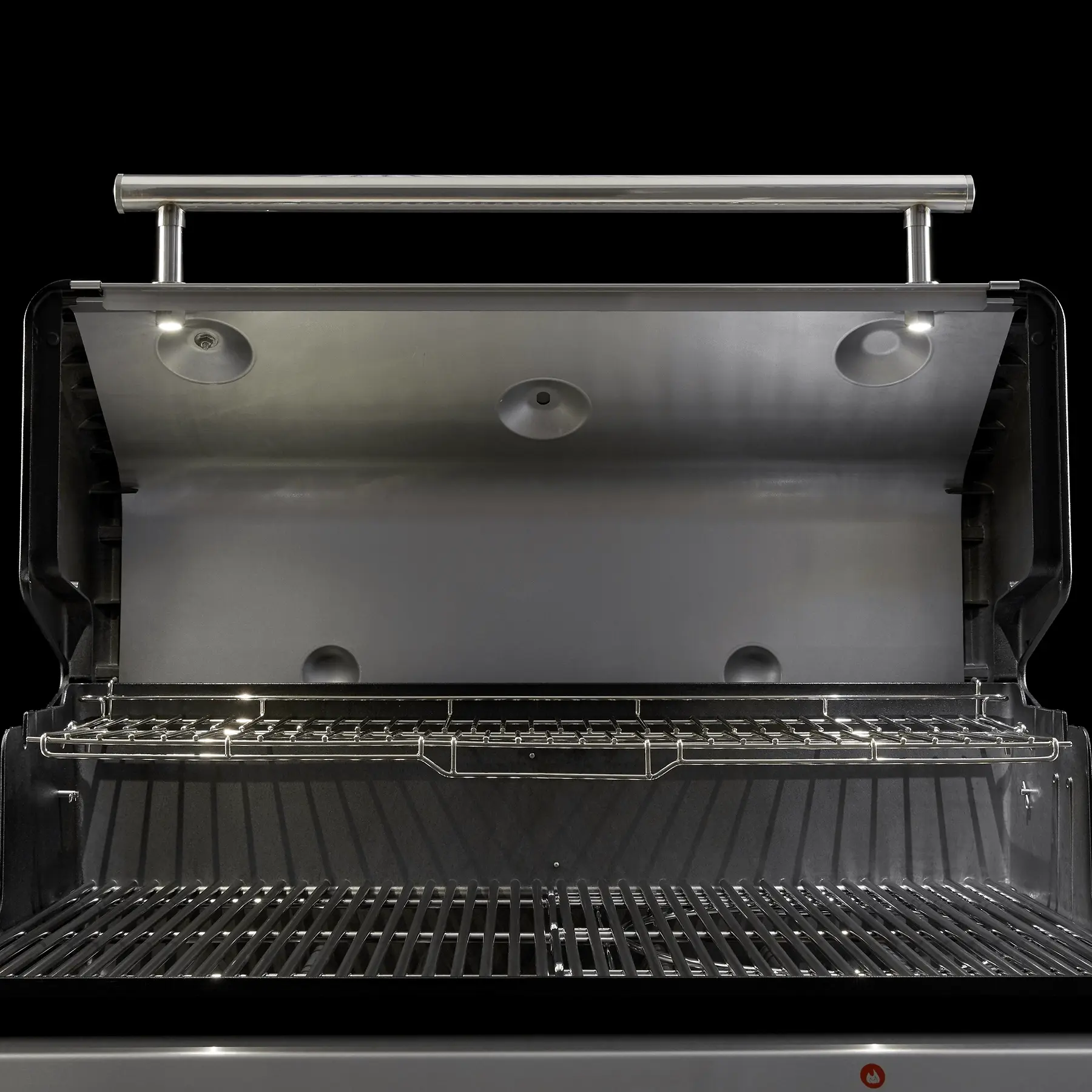 Weber 38800001 Natural Gas, Stainless Steel