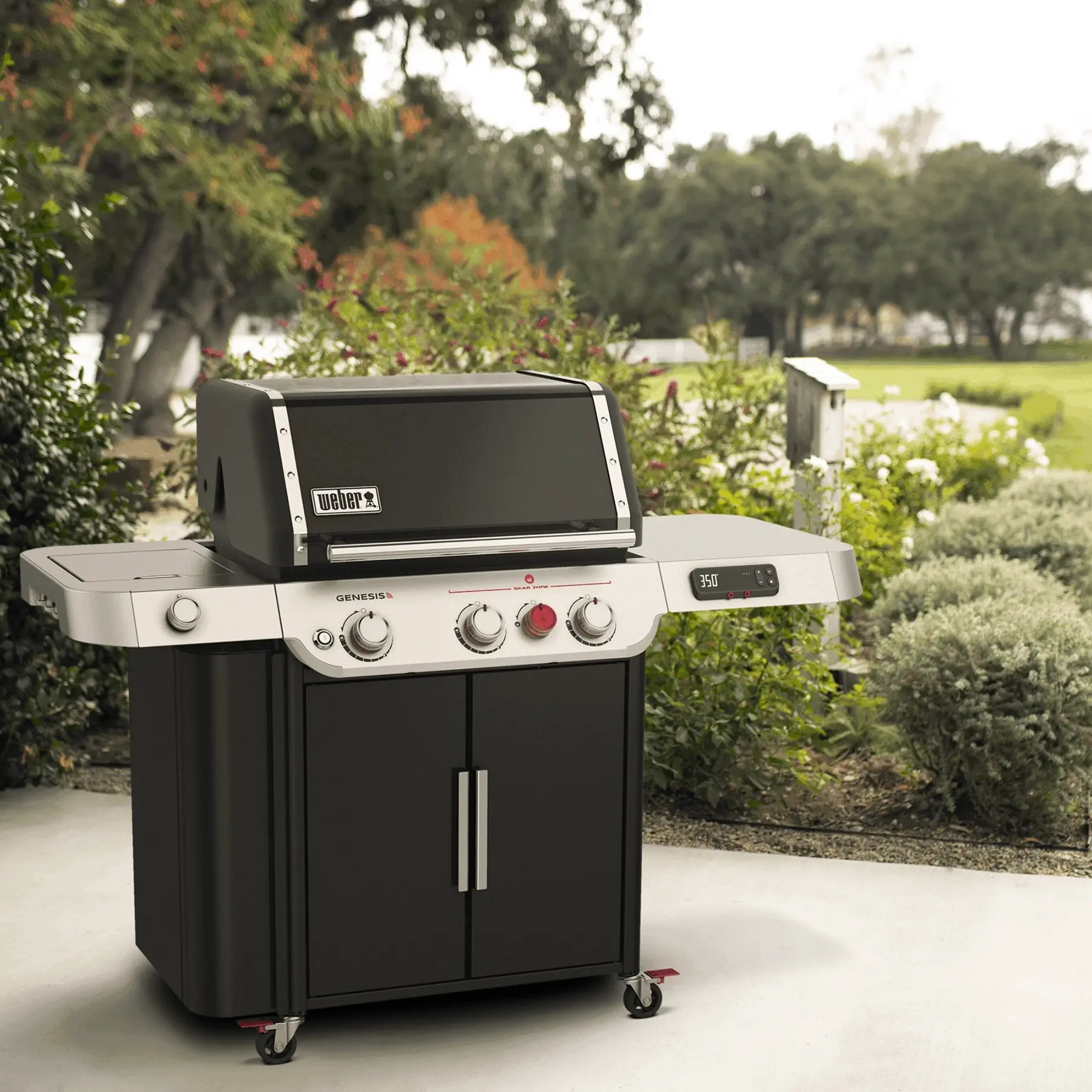 Weber 37610001 Natural Gas, Black