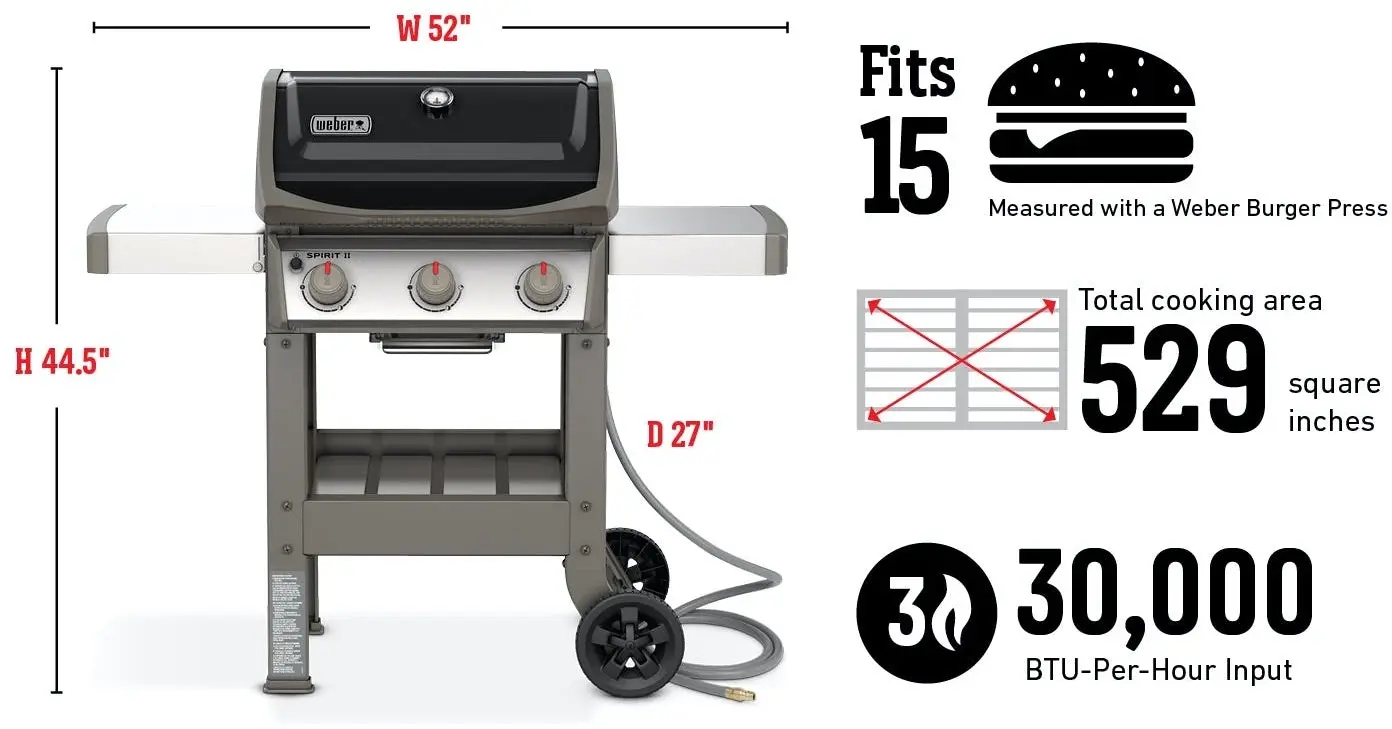 Weber 49010001 Black, Natural Gas