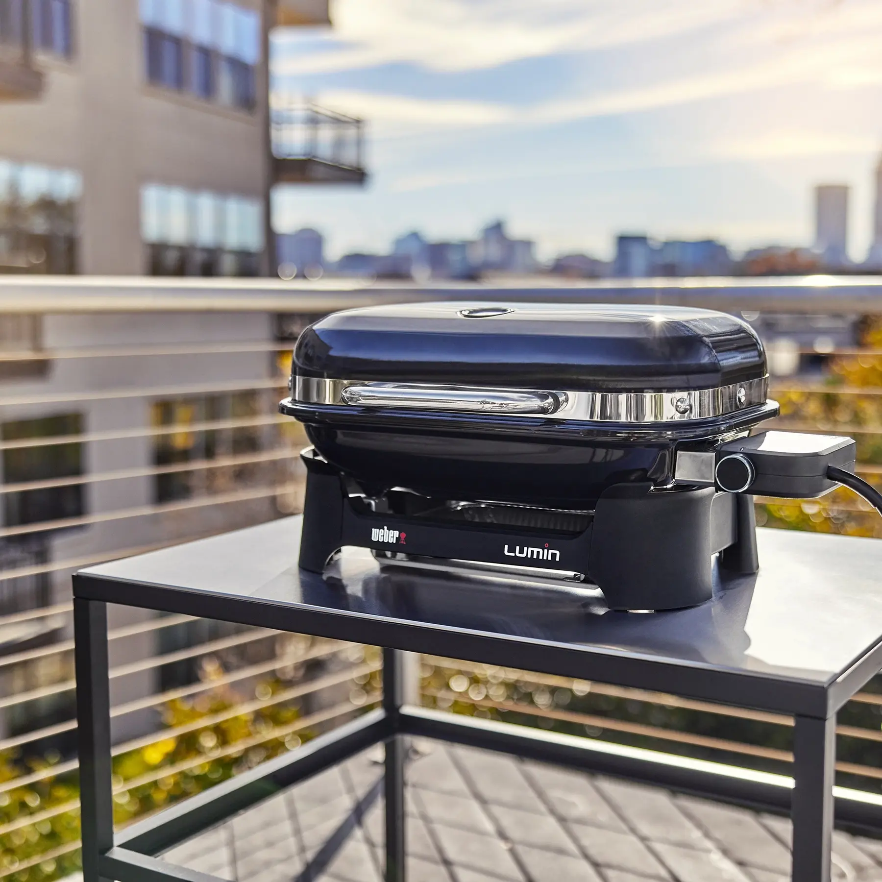 Weber 91400901 Ice Blue