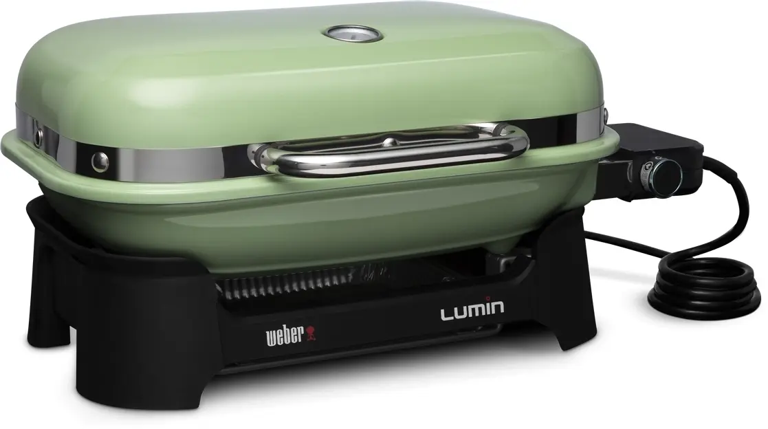 Weber 91070901 Seafoam Green