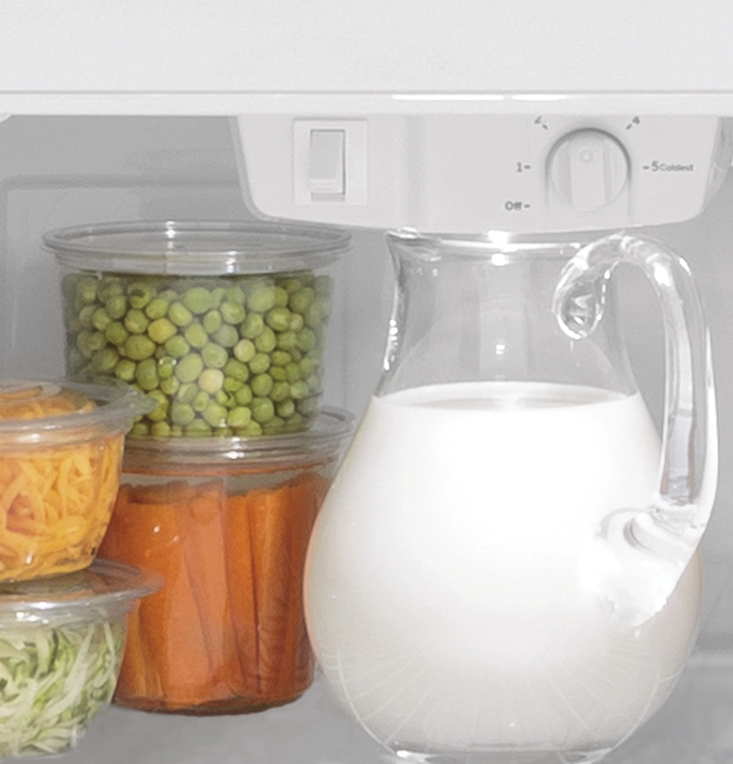 GE GTS22KYNRFS Top Freezer Refrigerator Fingerprint