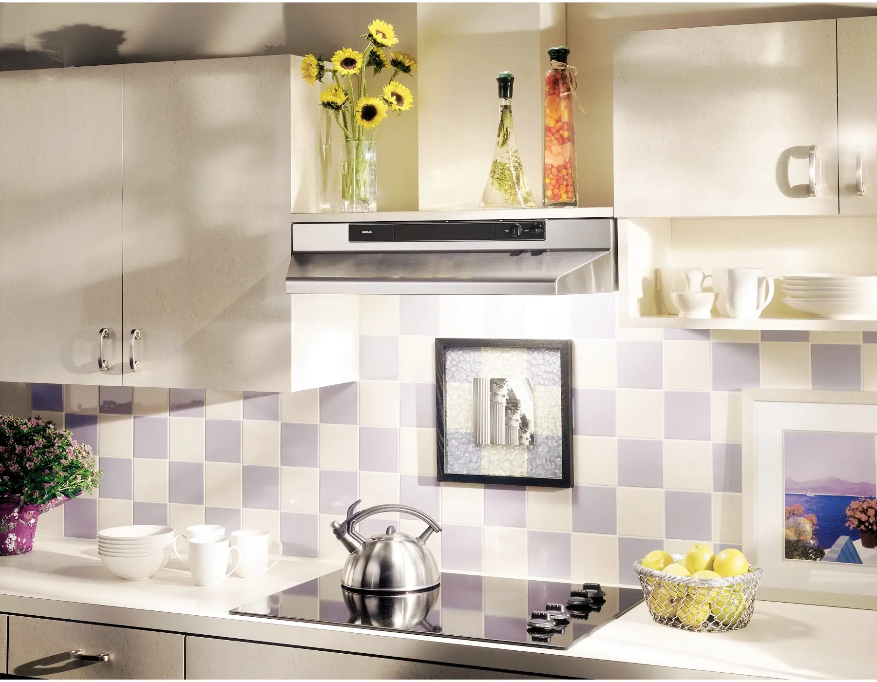 Broan 463004 Stainless Steel