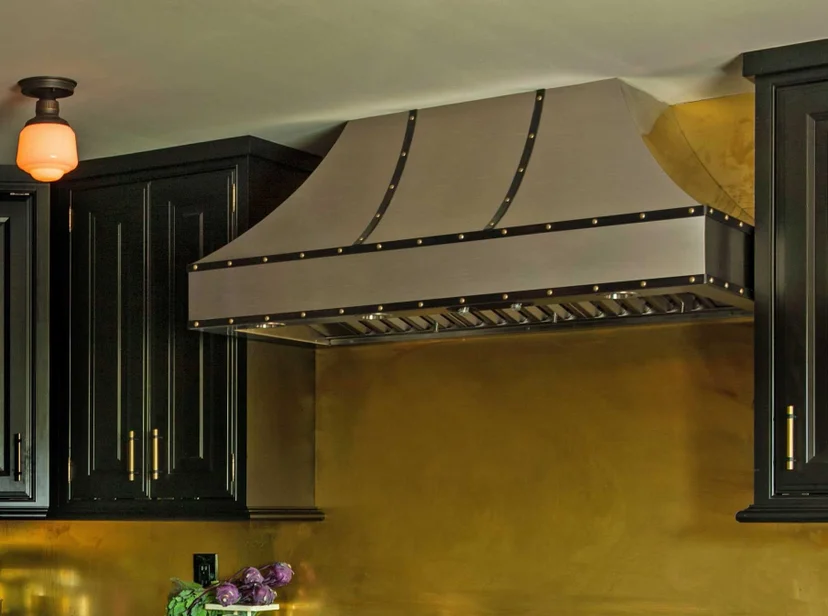 Bluestar WR060MLPLTD Wrangler Wall Mount Range Hood with Dimmable LED L...