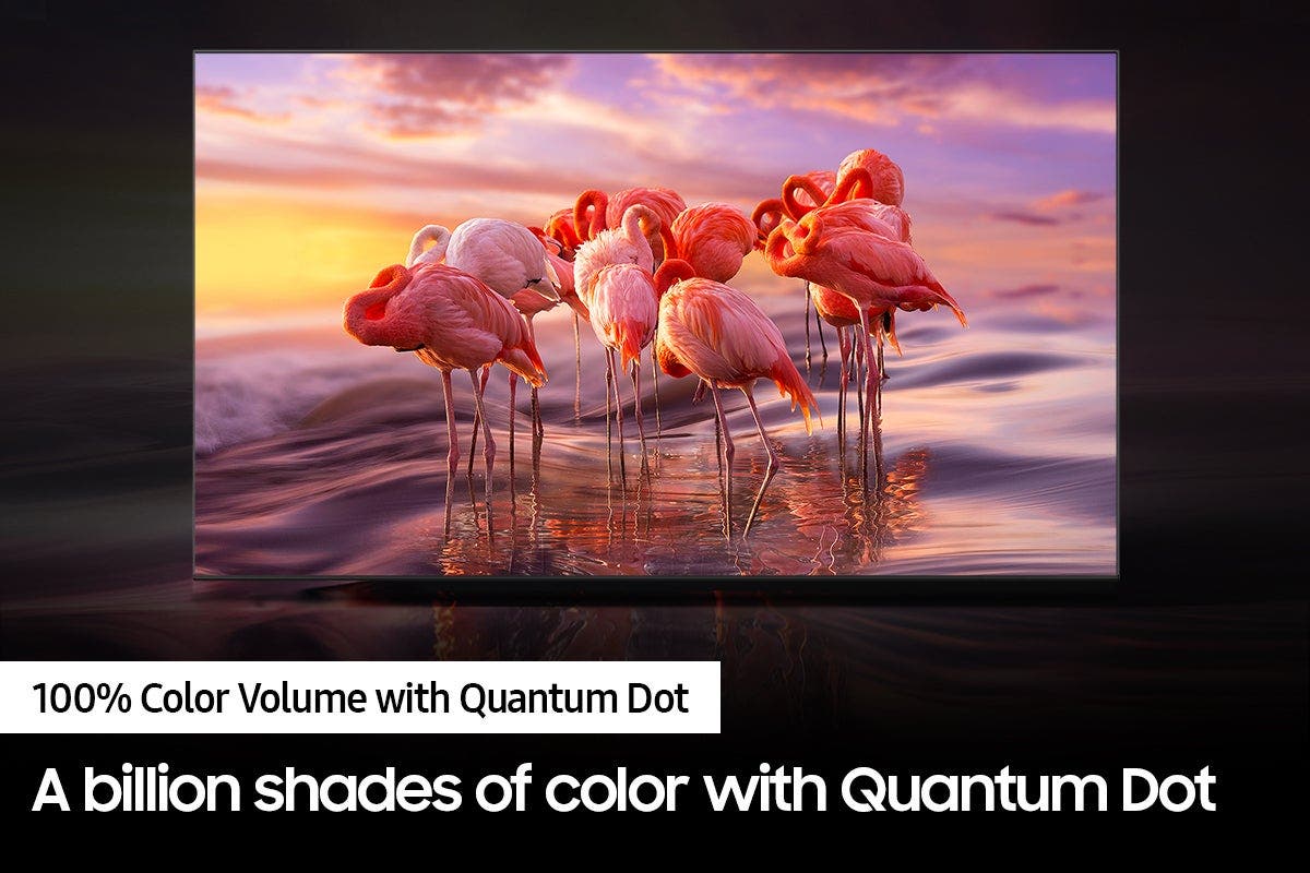 Samsung Electronics QN60Q60BAFXZA 60 Inch