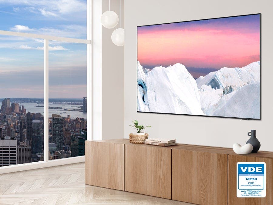 Samsung Electronics QN65QN95CAFXZA 65 Inch