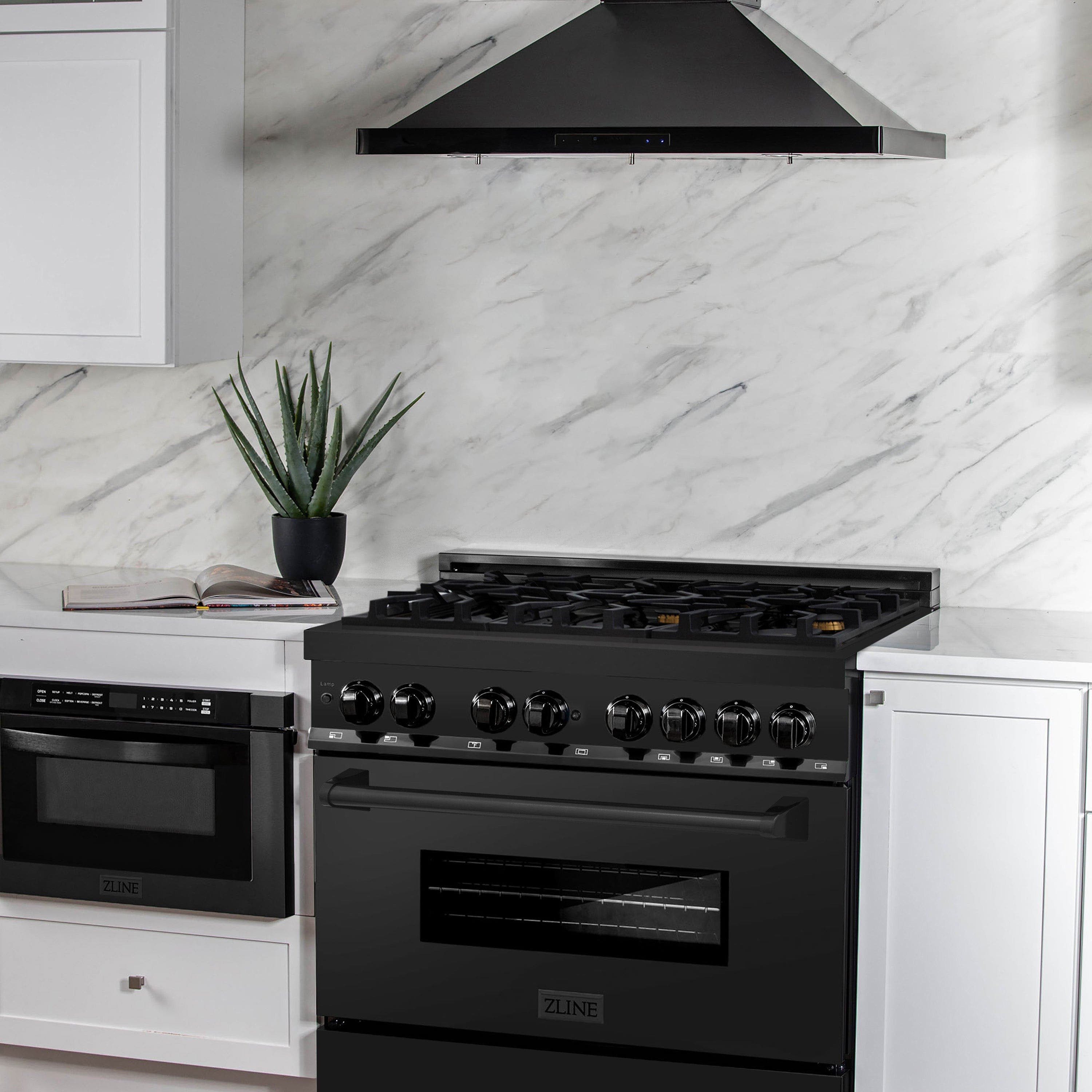 Zline RABBR36 Black Stainless Steel