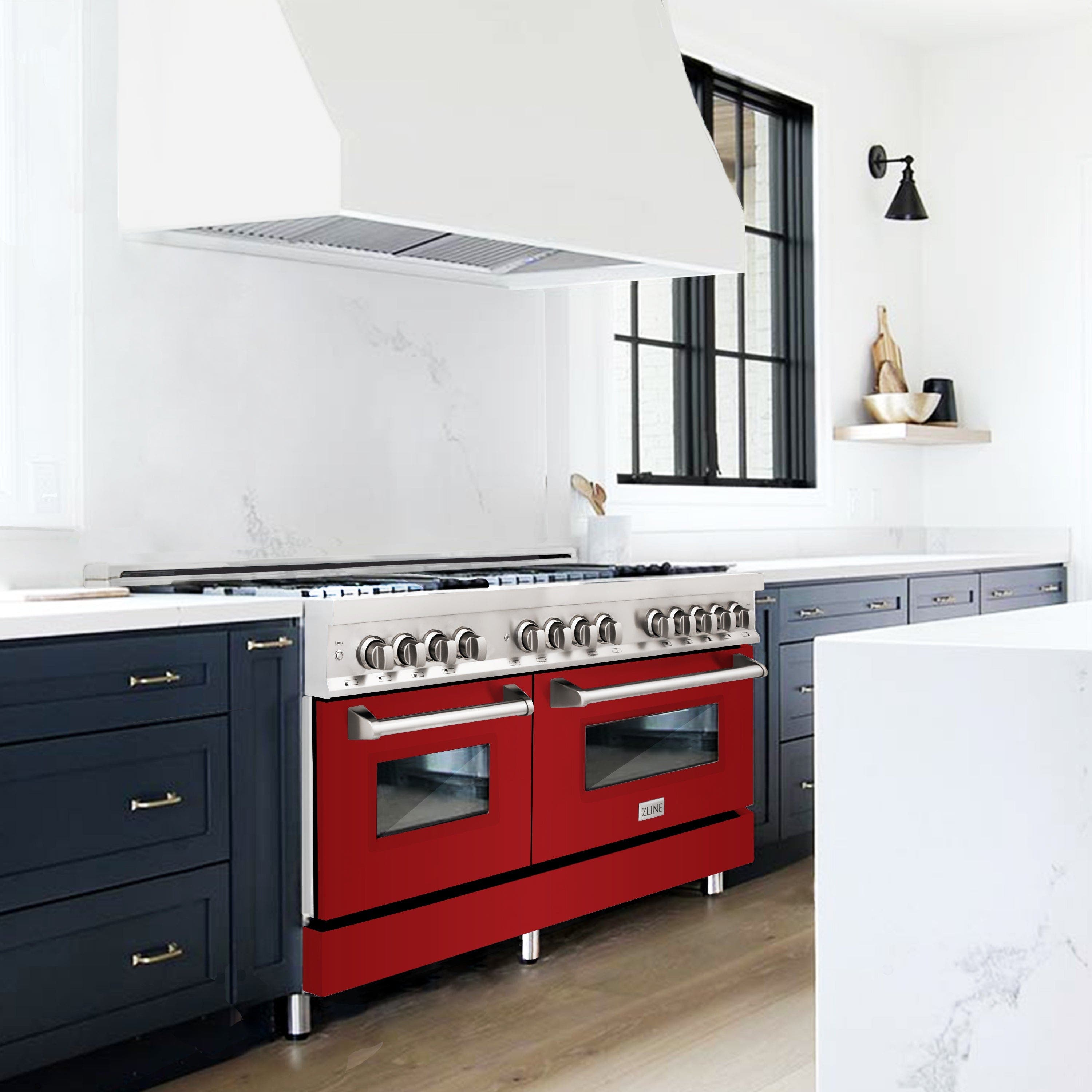 Zline RABM60 Stainless Steel And Blue Matte Door