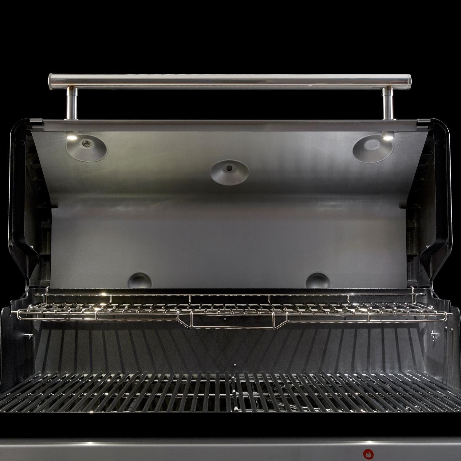 Weber 38800001 Natural Gas, Stainless Steel