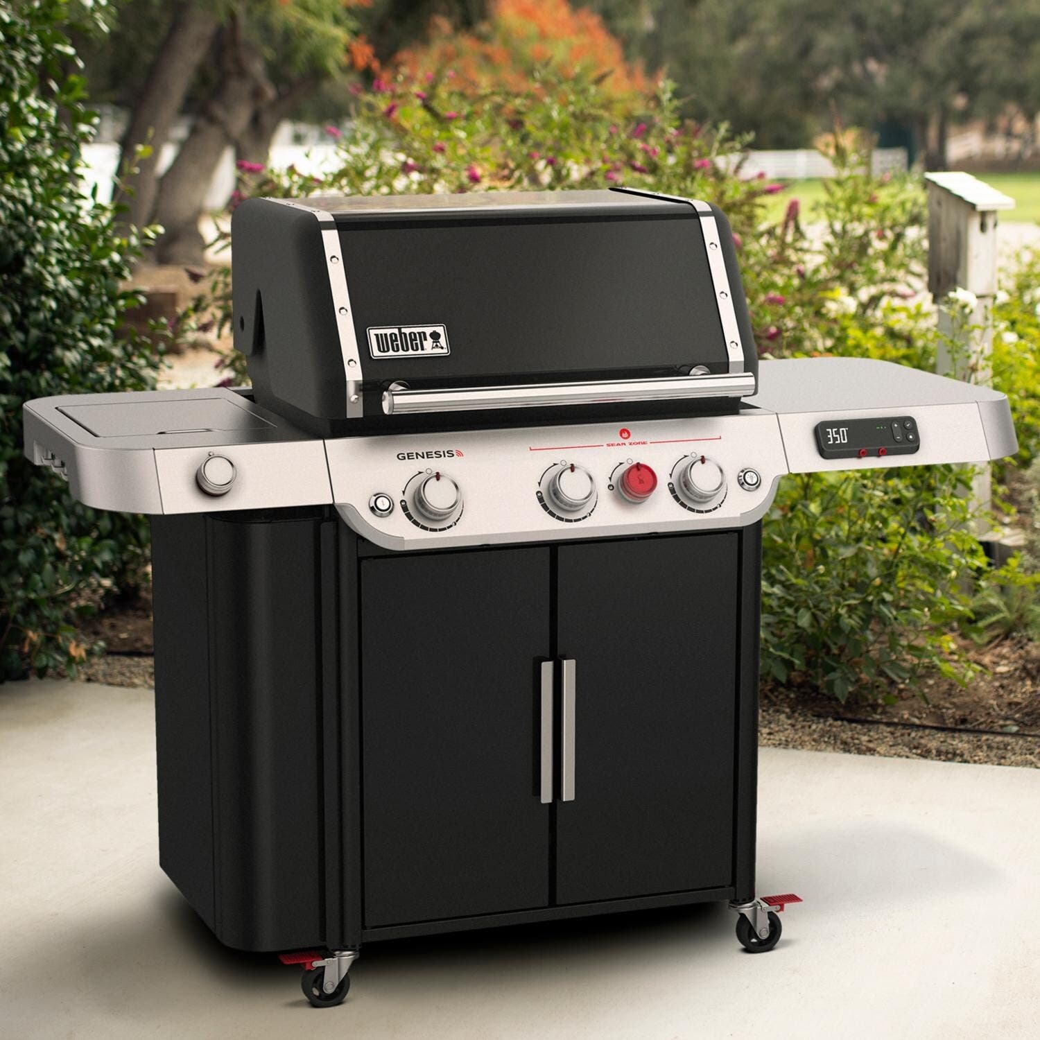 Weber 37810001 Natural Gas, Black