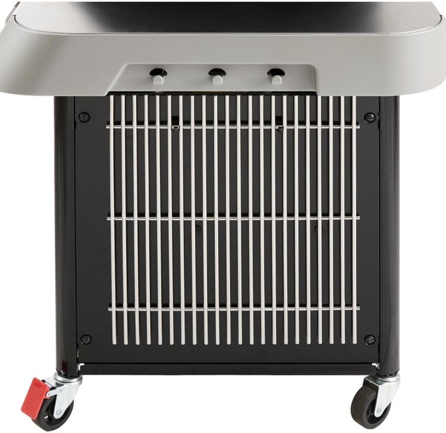 Weber 38410001