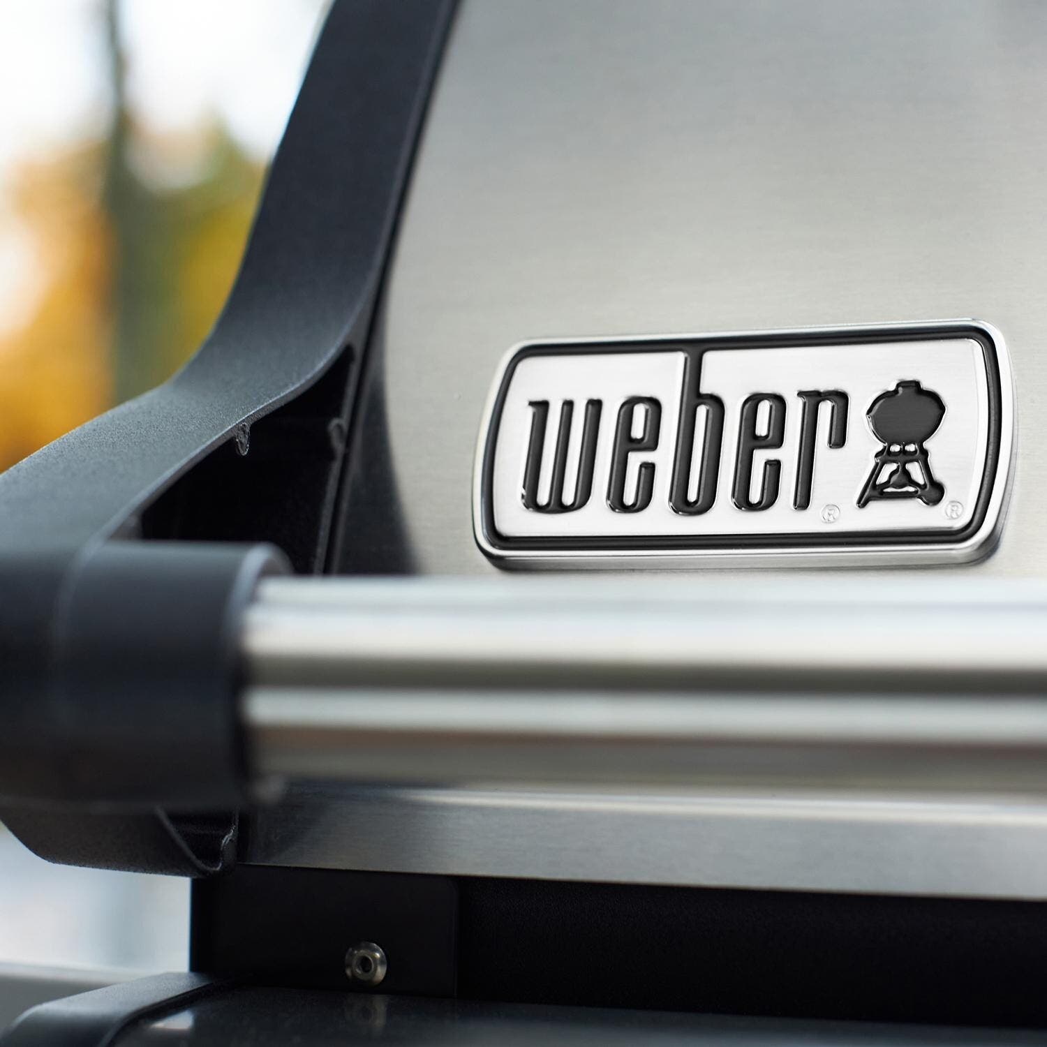 Weber 46502401 Stainless Steel, Liquid Propane