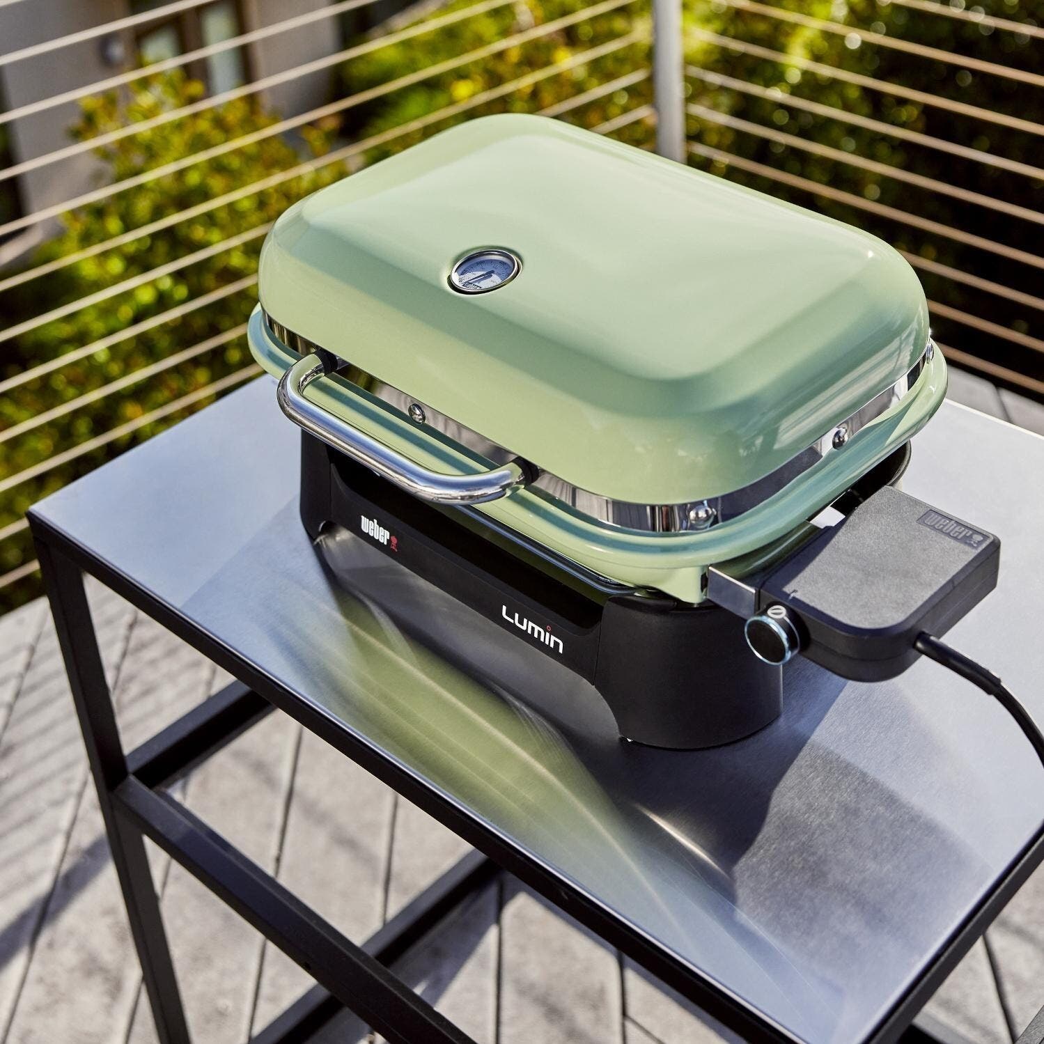 Weber 91070901 Seafoam Green