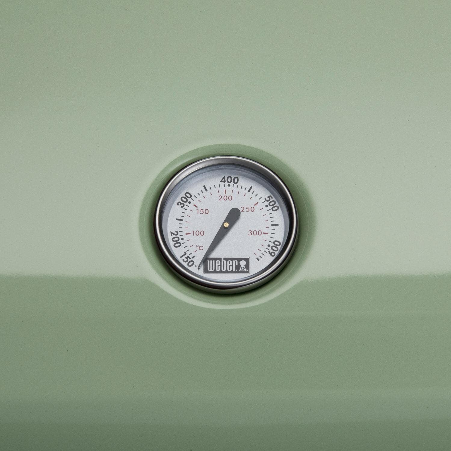 Weber 91070901 Seafoam Green