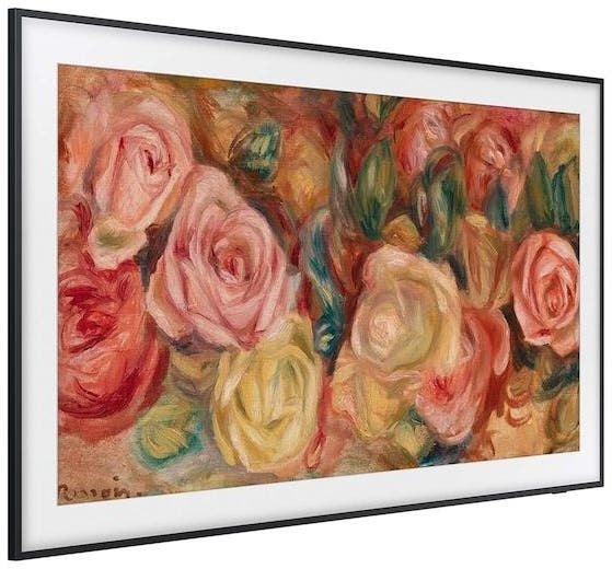 Samsung Electronics QN43LS03DAFXZA 43 Inch