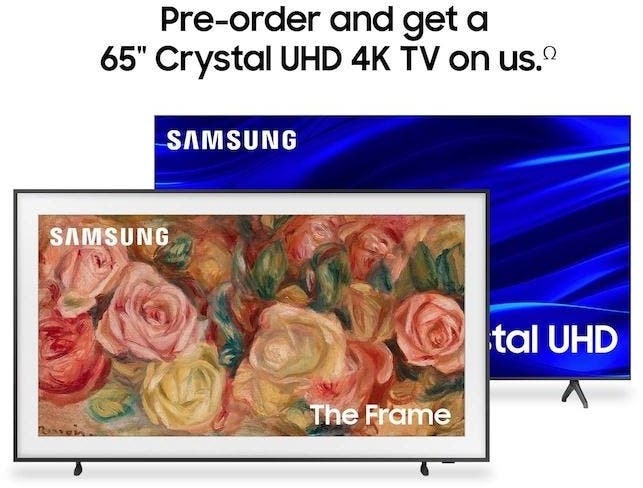 Samsung Electronics QN55LS03DAFXZA 55 Inch