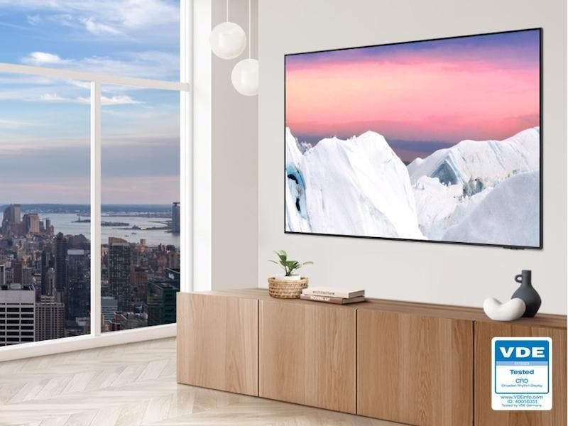 Samsung Electronics QN65QN95CAFXZA 65 Inch