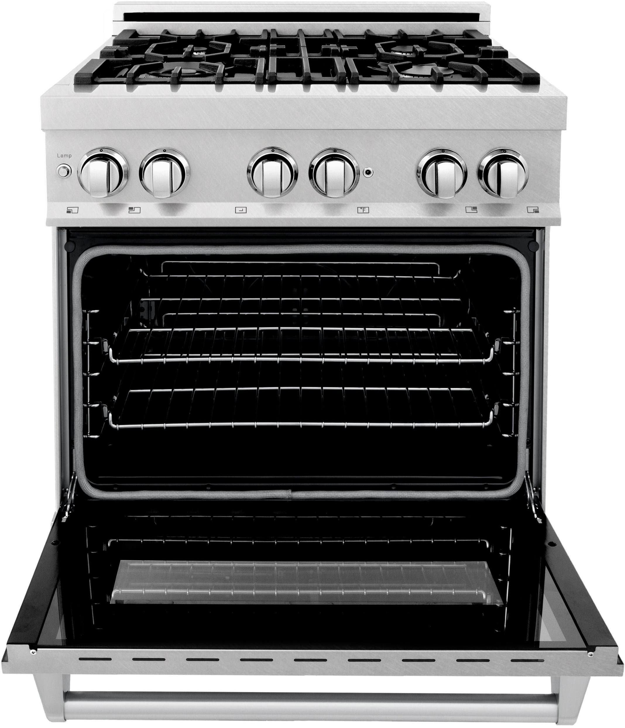 Zline RASSN30 Snow Stainless Steel