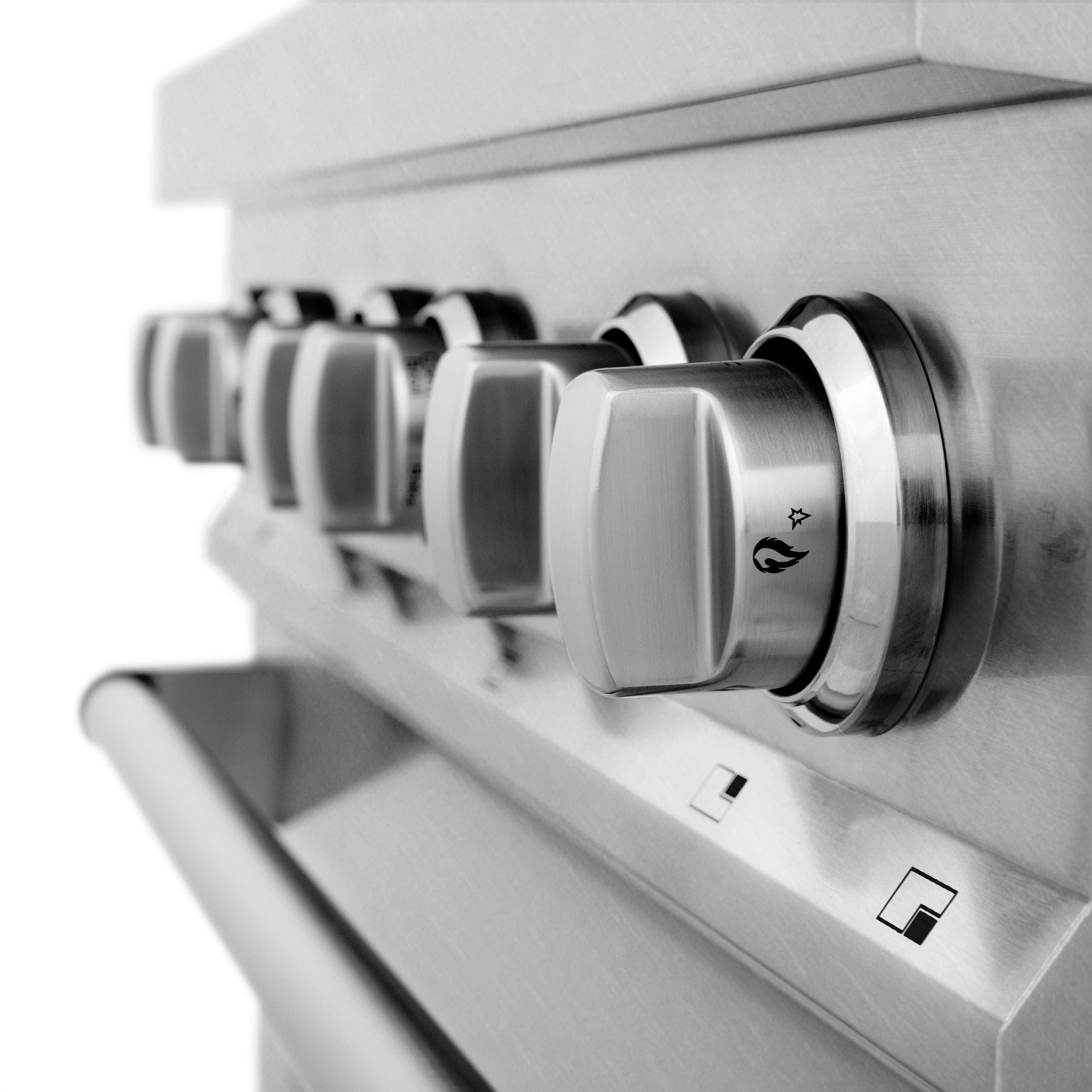 Zline RASSN30 Snow Stainless Steel