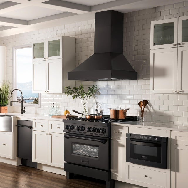 Zline BS655N30 Wall Mount Ducted Range Hood with LED Lights: Blac...