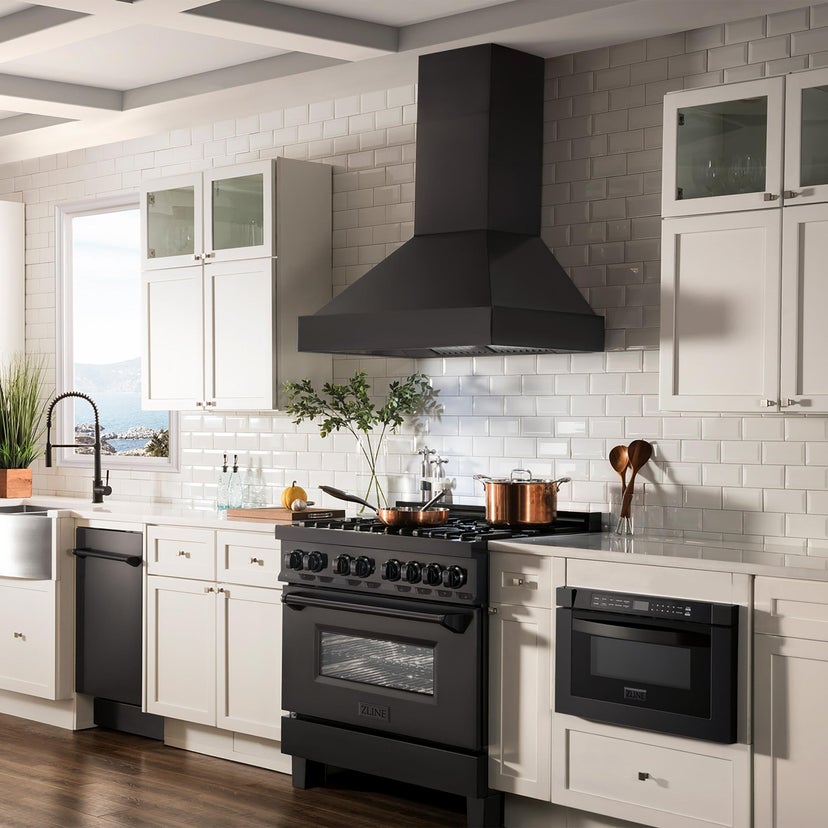 Zline BS655N30 Wall Mount Ducted Range Hood with LED Lights: Blac...