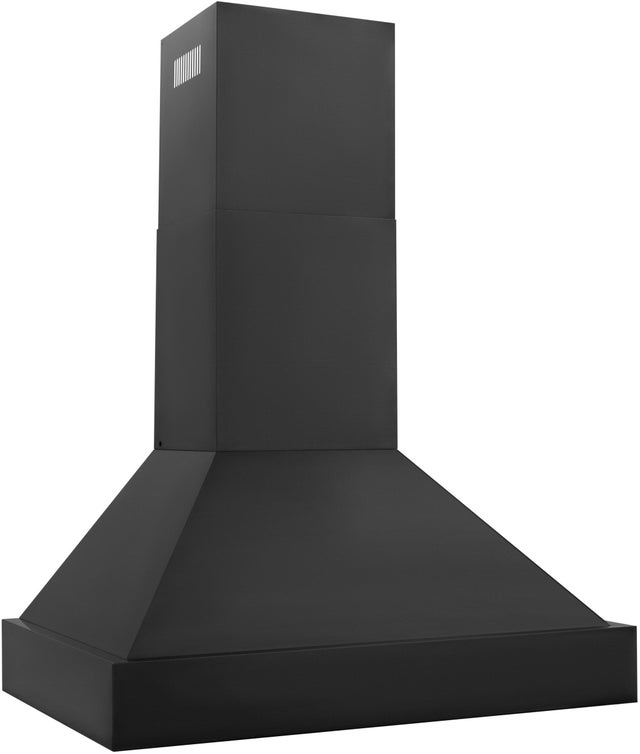Zline BS655N30 Wall Mount Ducted Range Hood with LED Lights: Blac...