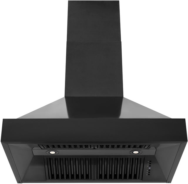 Zline BS655N30 Wall Mount Ducted Range Hood with LED Lights: Blac...