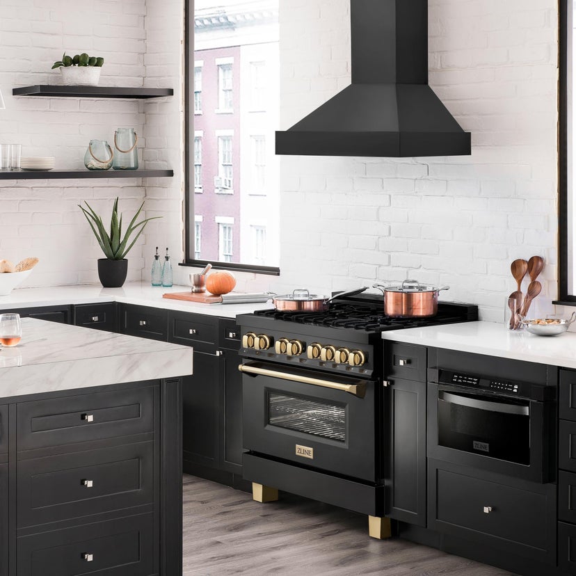 Zline BS655N30 Wall Mount Ducted Range Hood with LED Lights: Blac...