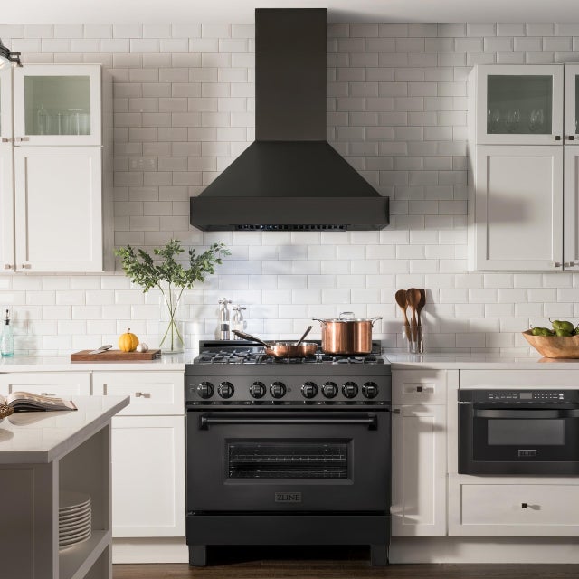Zline BS655N30 Wall Mount Ducted Range Hood with LED Lights: Blac...